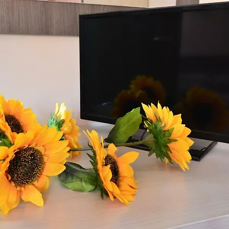 Case Franzero ゲストハウス *