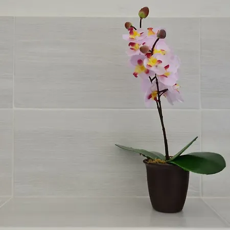 Case Franzero ゲストハウス *