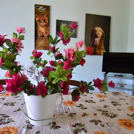 Case Franzero Levice