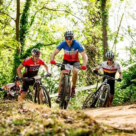 ゲストハウス Case Franzero Levice