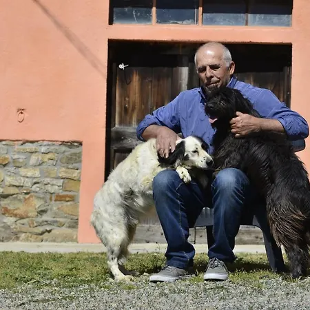 Case Franzero * Levice