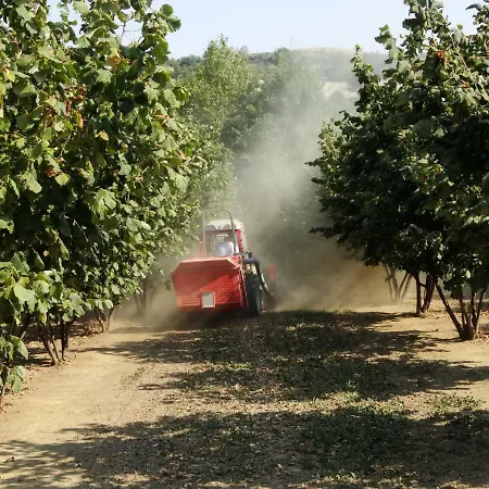 Case Franzero * Levice