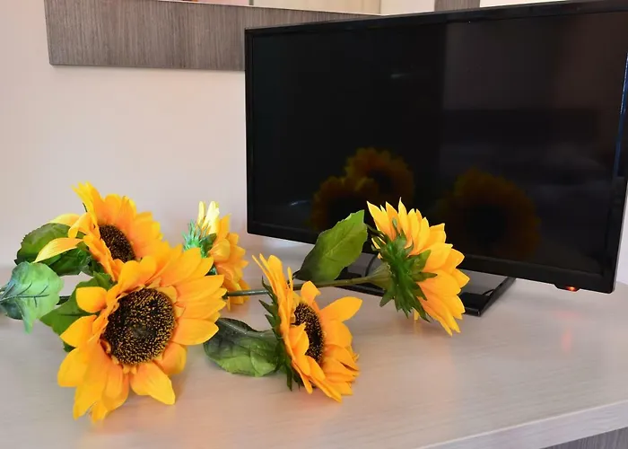 Case Franzero بيت ضيافة *