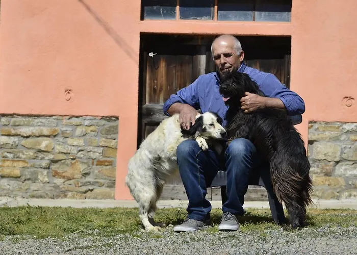 Case Franzero * Levice