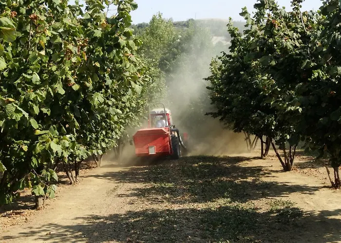 Case Franzero * Levice